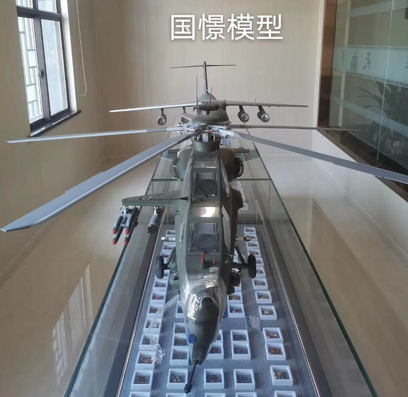 礼泉县飞机模型